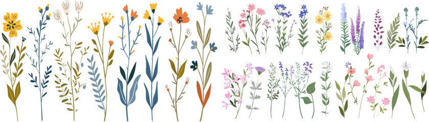 Collection of watercolor wild flowers and leaves with grass. Botanical garden elements set. Watercolor floral vector isolated eps illustration. 