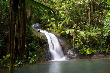 Waterfall cascading into a pool at Colo-i-Suva Forest Reserve in Fiji