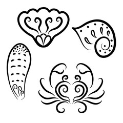 Sea shells curly line art drawing clipart illustration