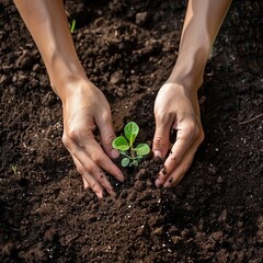Young Woman Cultivating New Plant Life