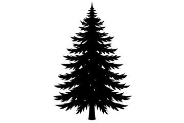 Spruce Tree silhouette vector illustration