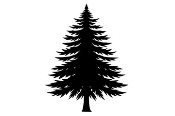 Spruce Tree silhouette vector illustration