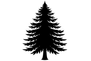 Spruce Tree silhouette vector illustration