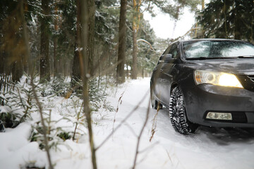 Car in the winter forest. Traveling through a snowy park by car during the Christmas holidays.
