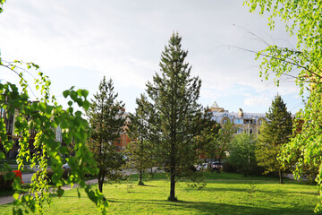 Summer landscape, lush green vegetation and nature.