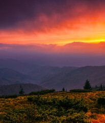 stunning autumn scene in mountains, autumn morning dawn, nature colorful background