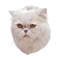 Colorful Detailed Cat Illusration