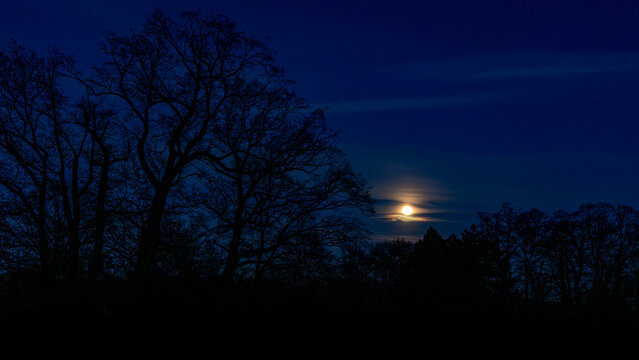 Der Mond geht auf &uuml;ber dem Park