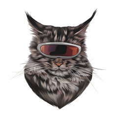 Colorful Detailed Cat Illusration