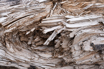 Background is made torn wood fibers.