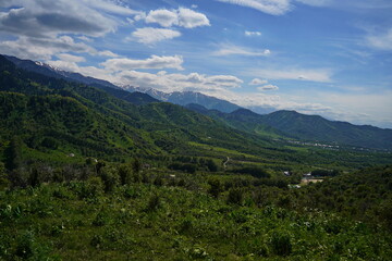 Obraz premium A mountainous area with different trails and vegetation.