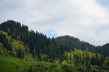 A mountainous area with different trails and vegetation.