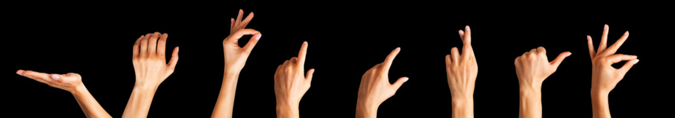Set of woman hands showing different gestures, pointing and showing signs