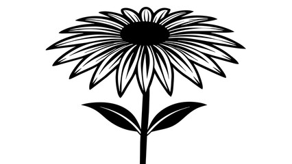 Susan flower silhouette vector illustration