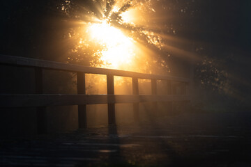 The sun shining through the trees beside a small footbridge on a foggy morning.