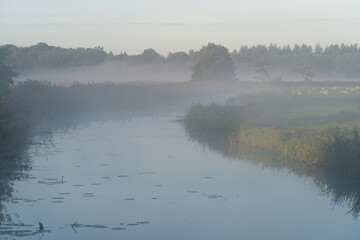 Small river during a foggy, summers dawn in the countryside.