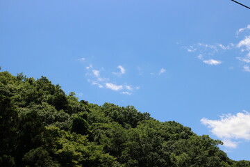 初夏の山　青空ハイキング