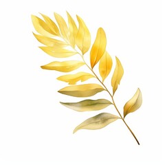 A watercolor of an acacia leaf