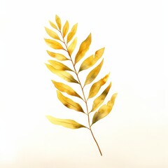 A watercolor of an acacia leaf