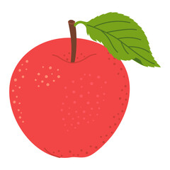 Fototapeta premium Red juicy ripe apple with green leaf. Hand drawn Red apple trendy flat style isolated on white. Apple harvest. Healthy vegetarian snack, cut apple for design, infographic. Vector illustration