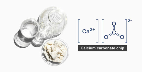 Calcium carbonate chip in chemical watch glass with molecular structure place next to beaker with...