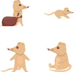 Elephant shrew icons set cartoon vector. Long nose shrew mouse. Rare animal