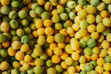 Top view of fresh organic plums (Japanese apricot). Fresh plums (Japanese apricot) background. 