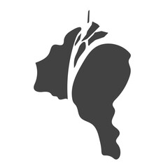 Essequibo Islands West Demerara map illustration