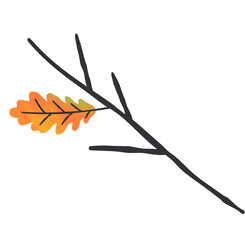 Single oak leaf on the branches