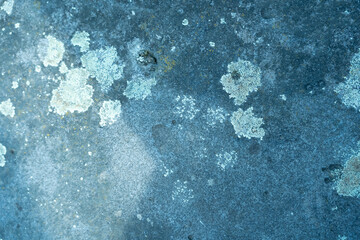stone background with lichen spots in banner layout
