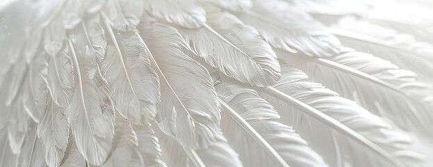 Close-up of soft, white angel wings with a heavenly glow.