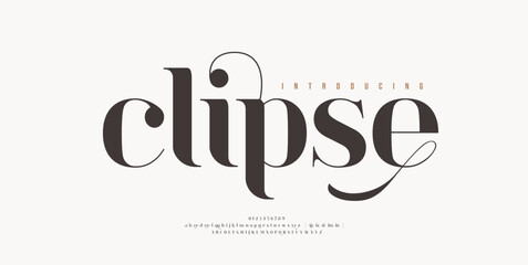 Elegant alphabet letters font logo. Typography luxury classic lettering serif italic fonts decorative wedding vintage retro logos. vector illustration © geengraphy