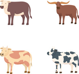 Collection of four cartoon illustrations of different cattle breeds on a white background