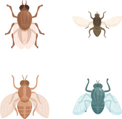 Collection of four stylized cartoon flying insects on a white background, suitable for educational graphics