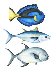 Colorful tropical fish. Aquarium animals .Watercolor illustration tropical fish. Underwater sealife concept.