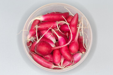 Red radish in plastic container on gray background, top view