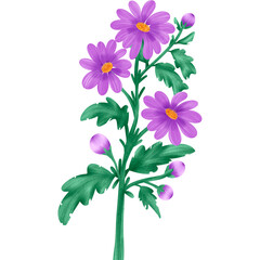 Flower floral Clipart element Illustation style