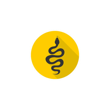  Snake icon isolated on transparent background