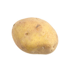 Single raw brown potato isolated on white background