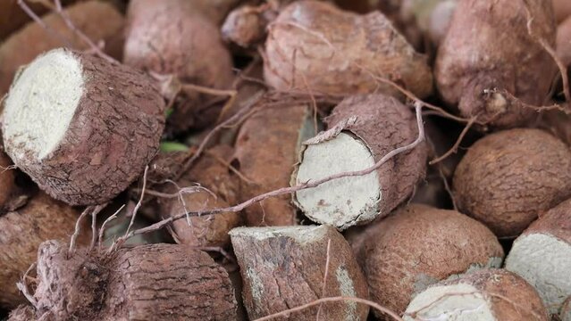 Close-up shot of sliced yams stacked neatly.