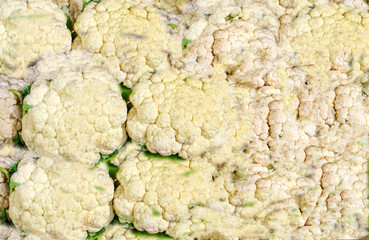 Agriculture Vegetable Cauliflower harvested by Farmer