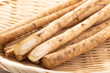 ［青森県産］やませごぼう