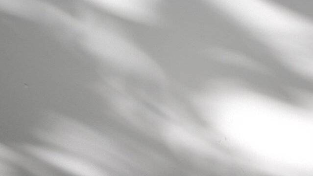 Wall interior background, studio and backdrops show products.with shadow from window color white and grey. background for text insertion and presentation product	