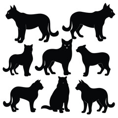 Set of Bobcat animal black silhouettes vector on white background