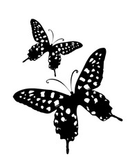 Butterflies are black with dots. hand drawing. Not AI. Vector illustration