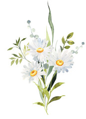 Watercolor Daisy floral illustration, Chamomile spring flowers clipart, Wildflower arrangement and summer wreath, Wedding invitations
