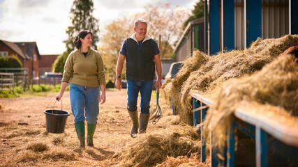 Male And Female Farm Workers Walking Across Yard Past Cattle Barn At Feeding Time