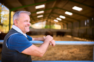 Portrait Of Mature Male Farm Worker Checking On Cattle In Barn