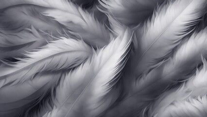 Stylish Gray Soft Feathers Background