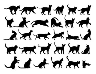 The big set of silhouettes domestic cats.
